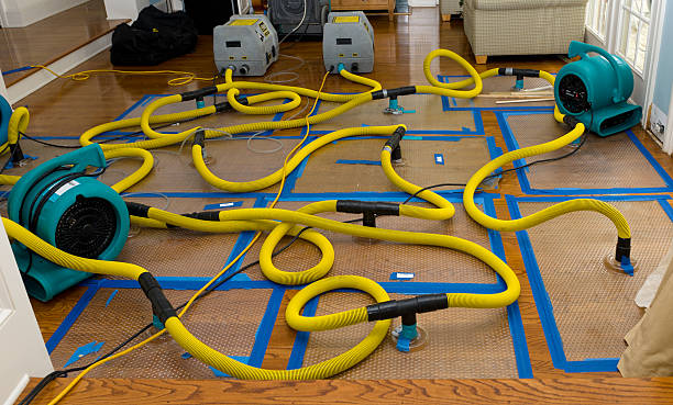 Professional Sewage Cleanup technician working in West Wareham, MA